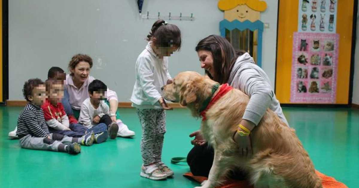 Si chiama Boris, ha 3 anni e va all'asilo con gli altri bimbi: ma � un cane